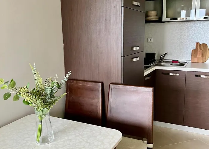 公寓 Black Sea Breeze No 3 比亚拉